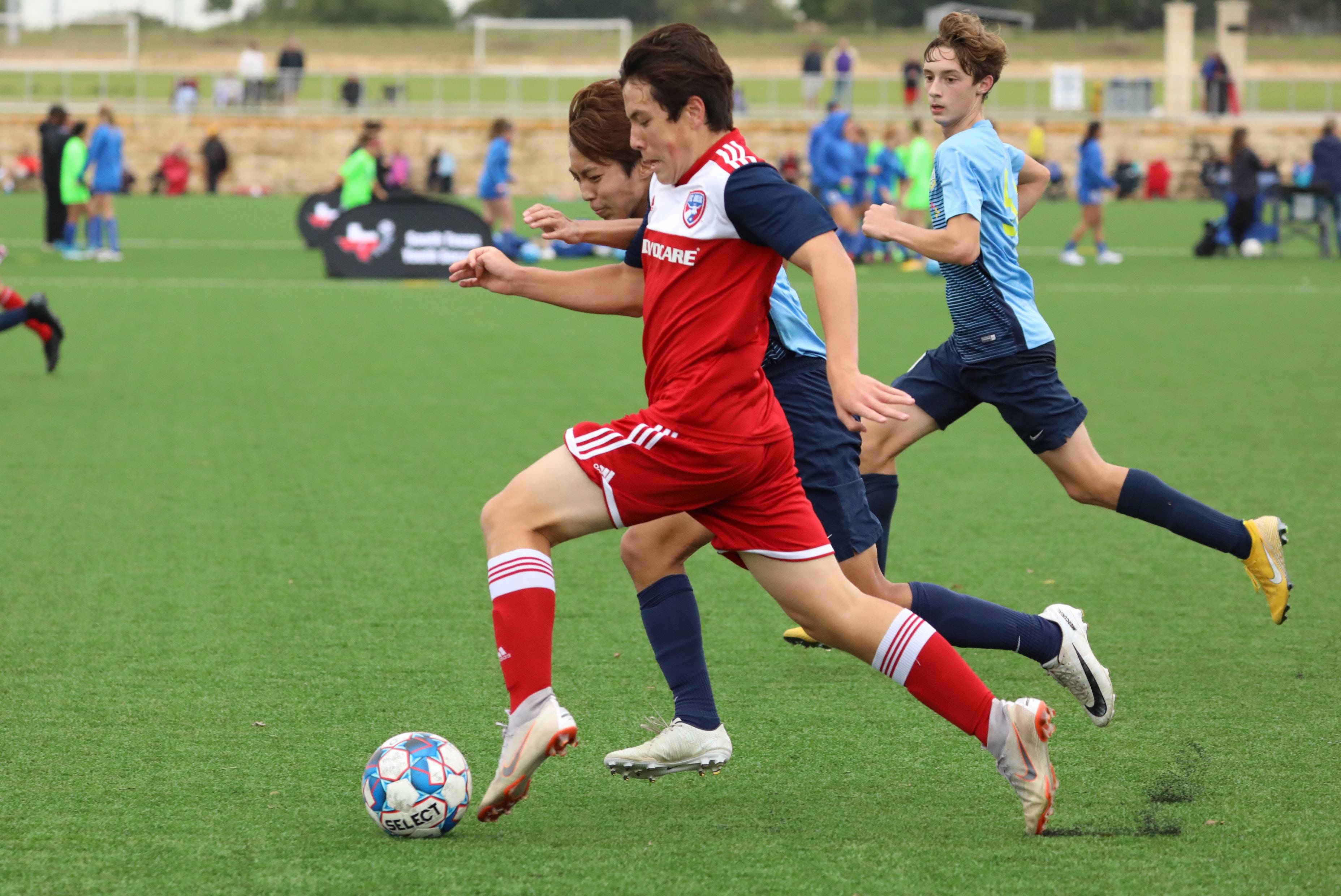 争的缩影 争的缩影